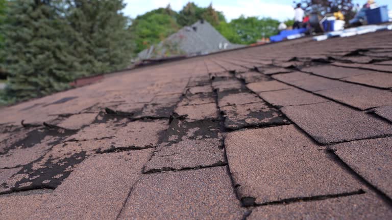 Emergency Roof Repair in South Apopka, FL